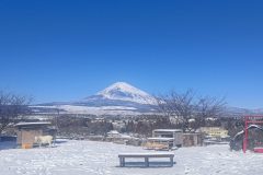 雪の日
